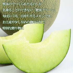 【予約受付】5月上旬~順次出荷【熊本】1玉　肥後グリーン