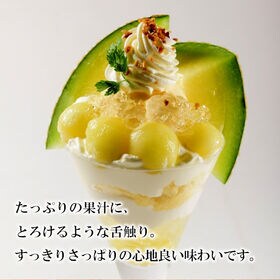 【予約受付】5月上旬~順次出荷【熊本】2玉　肥後グリーン