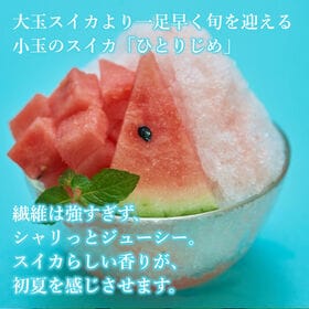 【予約受付】5月上旬~順次出荷【熊本】2玉　小玉すいか「ひとりじめ」