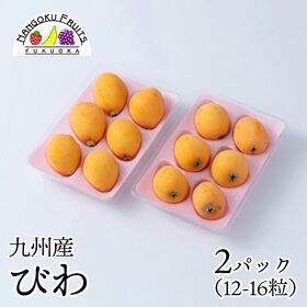 【九州】 2パック　枇杷(びわ)