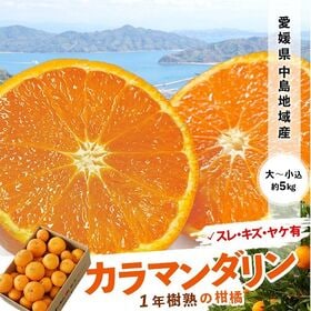 【約5kg(目安として35－50玉)】愛媛県中島地域産 カラマンダリン | 愛媛県でも名産地として名高い、柑橘の島