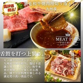 【500g】九州産黒毛和牛 焼肉用切り落とし《多彩な和牛の旨味をお手頃に》