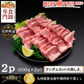 【計1kg/500g×2P】九州産黒毛和牛 焼肉用切り落とし《多彩な和牛の旨味をお手頃に》 | 【豊かな風味ととろける口どけ。九州が誇る黒毛和牛で、いつもの食卓を特別なごちそうに。】
