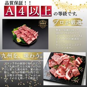 【計1kg/500g×2P】九州産黒毛和牛 焼肉用切り落とし《多彩な和牛の旨味をお手頃に》