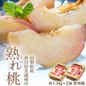 【予約受付】6/13~順次出荷【計約2.6kg(約1.3kg×2箱)】山梨直送『規格外 熟れ桃』