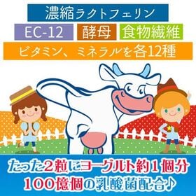 【大容量約6か月分】濃縮ラクトフェリン＆乳酸菌EC-12