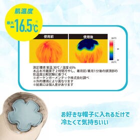 【ブルー】ソフトゲルヘッド