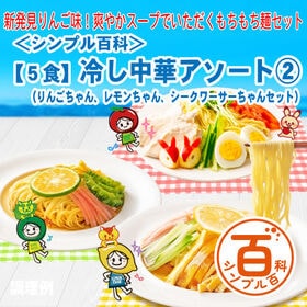 ＜シンプル百科＞【5食】冷やし中華アソート2