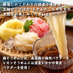 ＜シンプル百科＞【20食】そうめんアソート20食