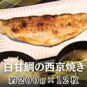 【計約2.4kg/約200g×12パック】西京焼き《白甘鯛》 | 上品な味とふくよかな旨味！柔らかくも弾力ある身質が魅力！高級料亭の味！おもてなしや記念日に