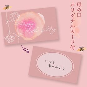 【母の日予約受付】5月6日~順次出荷【熊本】1玉　小玉すいか「ひとりじめ」