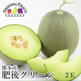 【母の日予約受付】5月6日~順次出荷【熊本】2玉　肥後グリーン