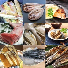 【3kg以上5種以上】海鮮MEGA盛り福袋  家計応援セット（まぐろ・鯨・牡蛎・焼き魚等々）