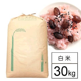 【30kg】国内産もち米 業務用 白米