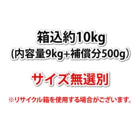 【箱込約10kg】熊本県産 河内晩柑（ご家庭用、傷あり）