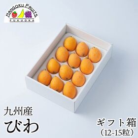 【母の日予約受付】5月6日~順次出荷 【九州】 12-15粒ギフト箱　枇杷(びわ)