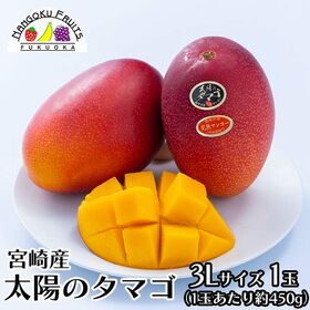 【母の日予約受付】5月6日~順次出荷【宮崎】3L1玉　完熟マンゴー ・太陽のタマゴ