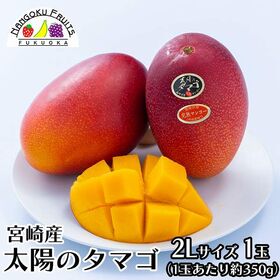 【母の日予約受付】5月6日~順次出荷【宮崎】2L1玉　完熟マンゴー ・太陽のタマゴ