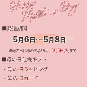 【母の日予約受付】5月6日~順次出荷【宮崎】M~L2玉　完熟マンゴー