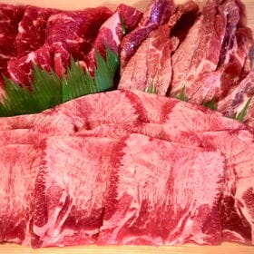 【450g】焼肉 炸 人気のヘルシー3種盛り焼肉・BBQセット | ヘルシーなのに食べ応え抜群！3種の部位をセットにした女性にも人気のヘルシーBBQセット！