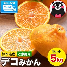 【5kg】デコみかん※ご家庭用（傷あり サイズ不選別） | プリプリ果肉がぎゅッとつまった！