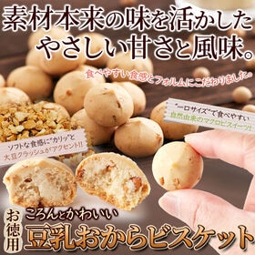 豆乳おからビスケット300g