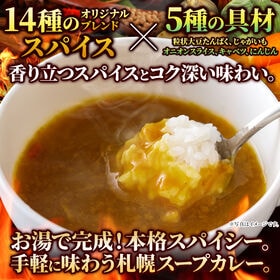 【17g×15袋】札幌スープカレー