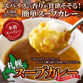【17g×15袋】札幌スープカレー