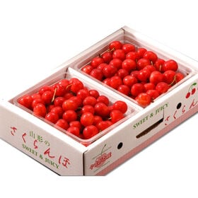 【予約受付】6/1~順次出荷【約700g/特秀品・Lサイズ】山形県産さくらんぼ「佐藤錦」特秀品