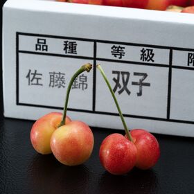 【予約受付】6/5~順次出荷【約1kg】双子さくらんぼ（佐藤錦 or 紅秀峰）【冷蔵】 | 食べて応援！