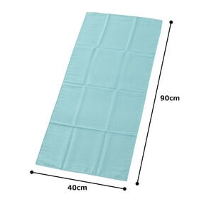 【2枚セット】アスカタオル サラッとドライ フェイスタオル 40cm×90cm【ミント】