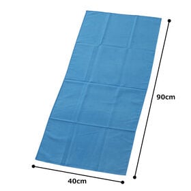 【2枚セット】アスカタオル サラッとドライ フェイスタオル 40cm×90cm【ロイヤルブルー】