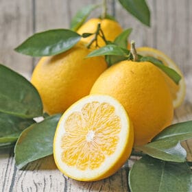 【予約受付】4/26~順次出荷【10kg】宇和島ゴールド ※葉傷・枝傷・黒点等の傷あり、サイズ込み | 5/10まで通常8kg+2kg増量！！