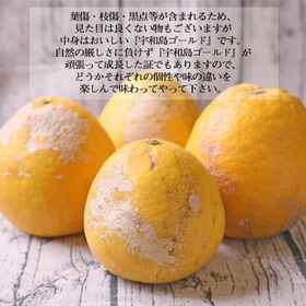【予約受付】4/26~順次出荷【10kg】宇和島ゴールド ※葉傷・枝傷・黒点等の傷あり、サイズ込み