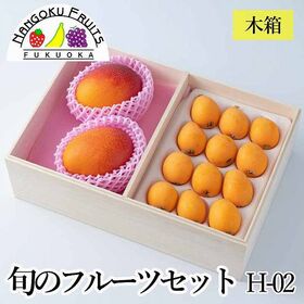 【母の日予約受付】5月6日~順次出荷 フルーツセット H02(完熟マンゴー・びわ) | 母の日に「ありがとう」の気持ちを込めて…