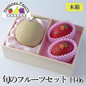 【母の日予約受付】5月6日~順次出荷 フルーツセット H06(太陽のタマゴ・マスクメロン)