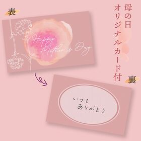 【母の日予約受付】5月6日~順次出荷 フルーツセット H06(太陽のタマゴ・マスクメロン)