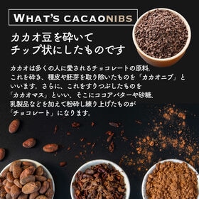 【初回限定】【100g】ローストカカオニブ