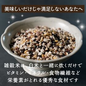 【初回限定】【800g(400g×2袋)】国産 胡麻香る十穀米 (雑穀米・チャック付き)