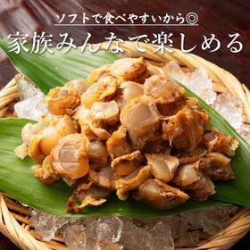 【日替わり数量限定】【90g(90g×1袋)】北海道産ソフトほたて干し貝柱【先行チケット利用NG】