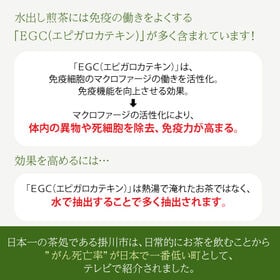 【5g×16包入×3本】茶つみの里《静岡県産》深蒸し掛川茶 抹茶入り 水出し緑茶 ティーバッグ
