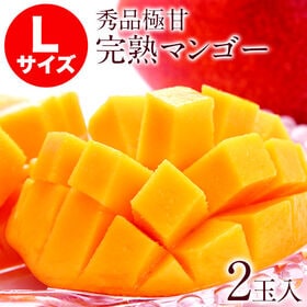 【2玉/Lサイズ】本場宮崎県産 完熟マンゴー | "完熟"へのこだわりが生んだ！濃厚な味わい極甘マンゴー！