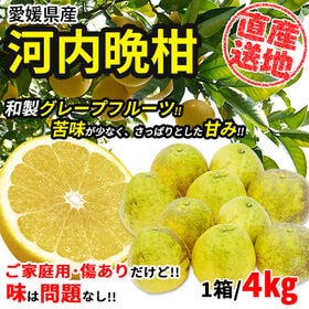 【4kgセット】 愛媛県産河内晩柑 (ご家庭用・傷あり) (サイズお任せ)