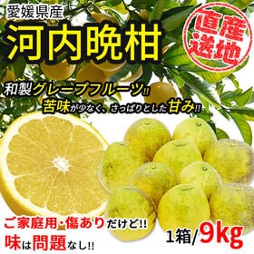 【9kg】 愛媛県産河内晩柑 (ご家庭用・傷あり) (サイズお任せ)
