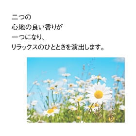 【2.5g×35包入】茶つみの里《有機》カモミールほうじ茶 糸付き ティーバッグ