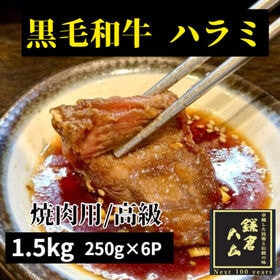 【計1.5kg/250g×6パック】極上黒毛和牛ハラミ（にん...