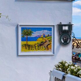 サイエルインターナショナル ソーラーパネル付き害鳥駆除機