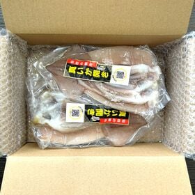仙台の朝市 冷凍保存で便利な真空 いか開き 175g×4枚（700g）