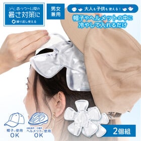 【クリア/2個組】ひんやりジェルヘッド | 帽子やヘルメットの中に冷やして入れるだけ  やわらかい