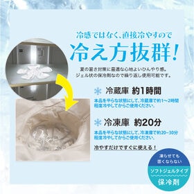 【クリア/2個組】ひんやりジェルヘッド